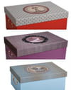 Boîtes Les Cakes de Bertrand Boîtes Les Cakes de Bertrand