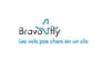BravoFly BravoFly